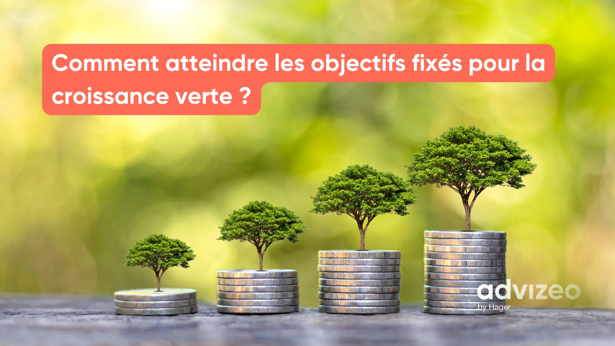 Comment atteindre les objectifs fixés pour la croissance verte ?