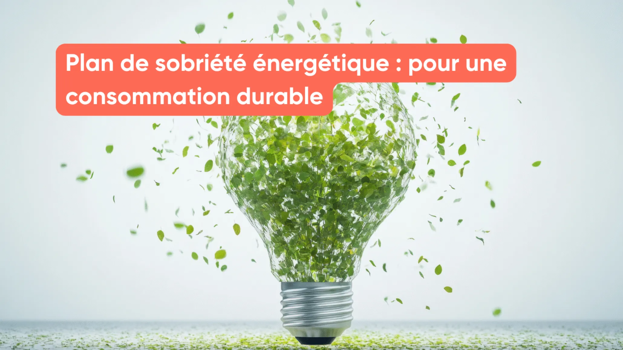 Plan de sobriété énergétique : pour une consommation durable