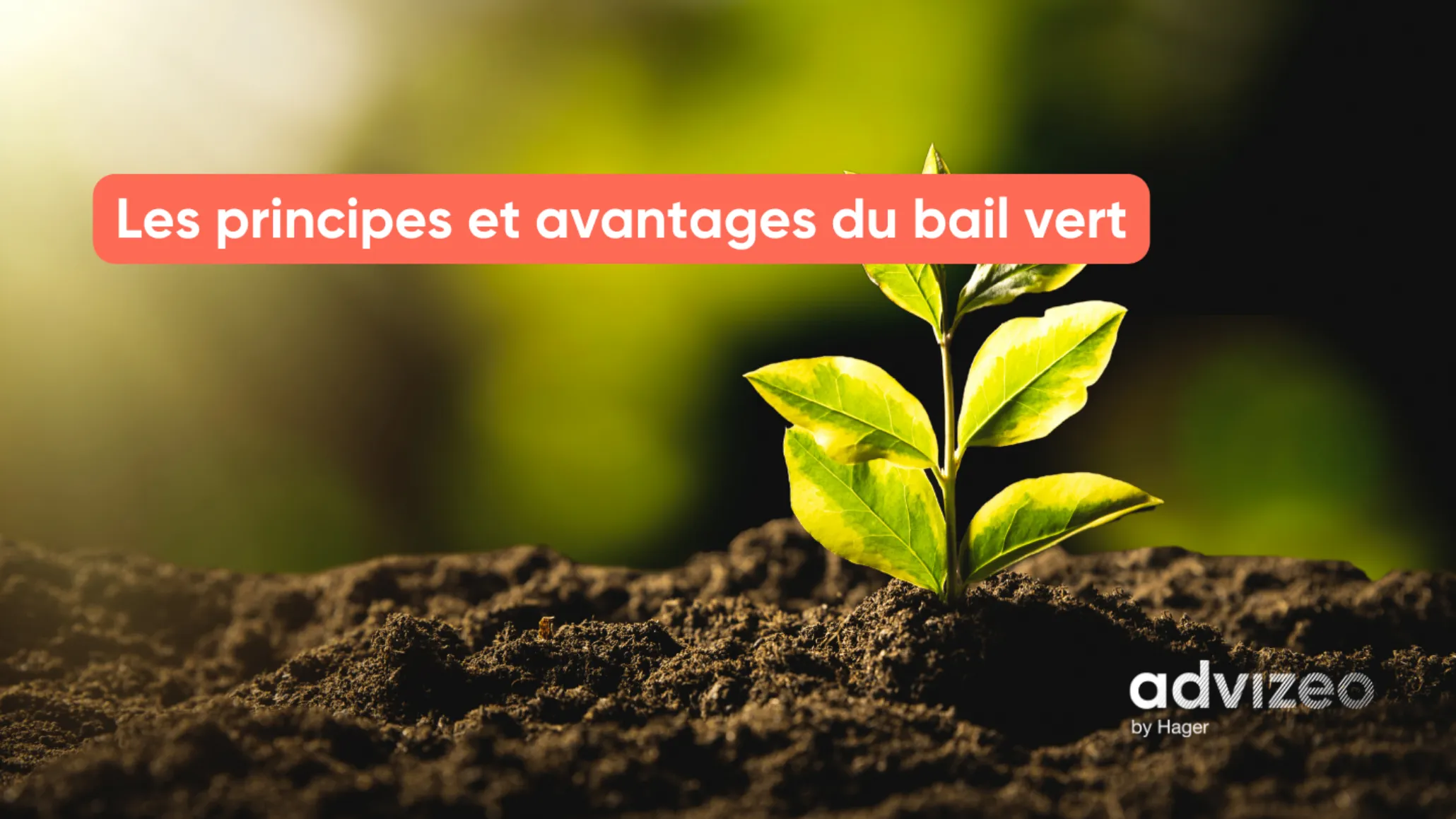 Les principes et avantages du bail vert