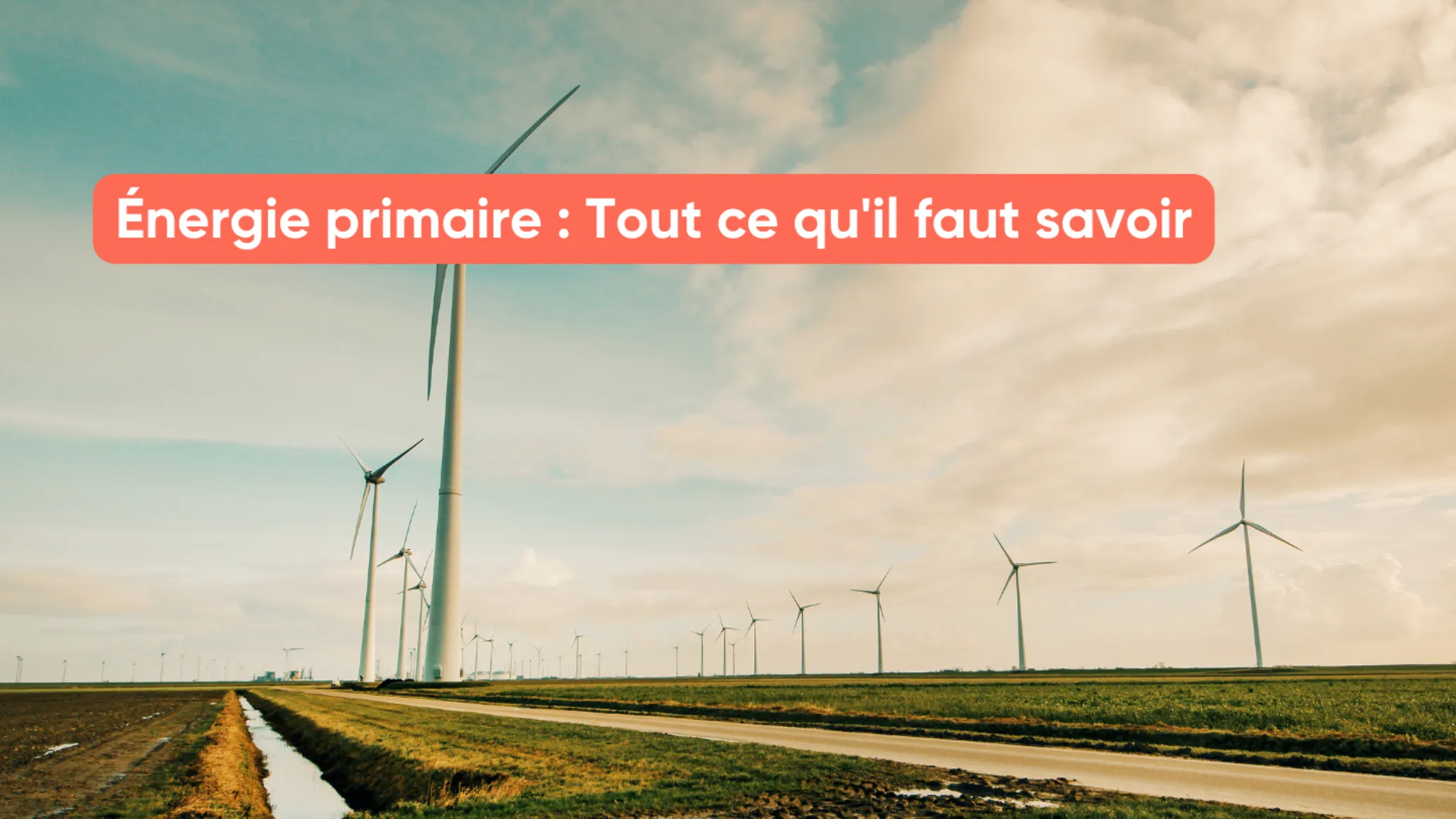 Énergie primaire : Tout ce qu'il faut savoir