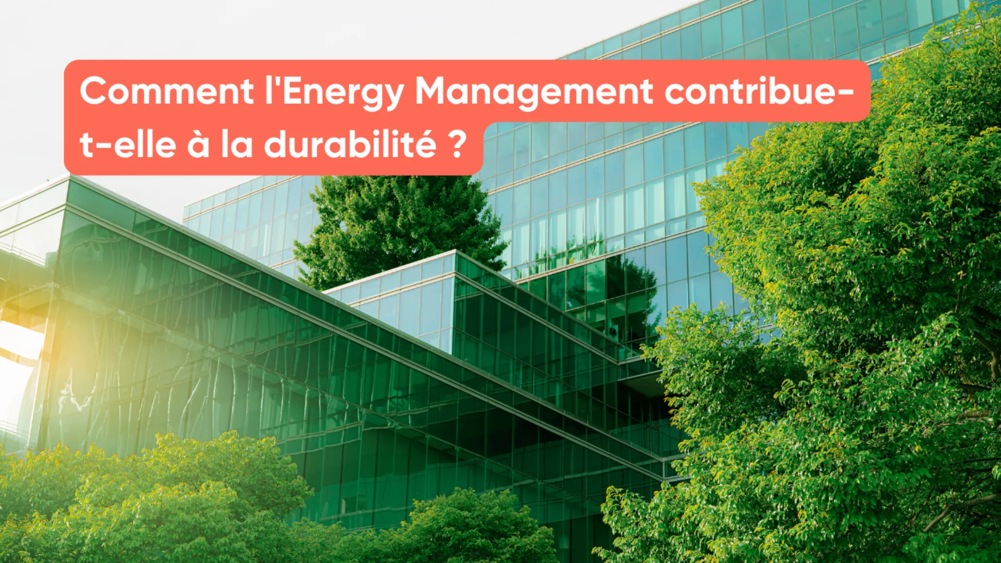 Comment l'Energy Management contribue-t-elle à la durabilité ?