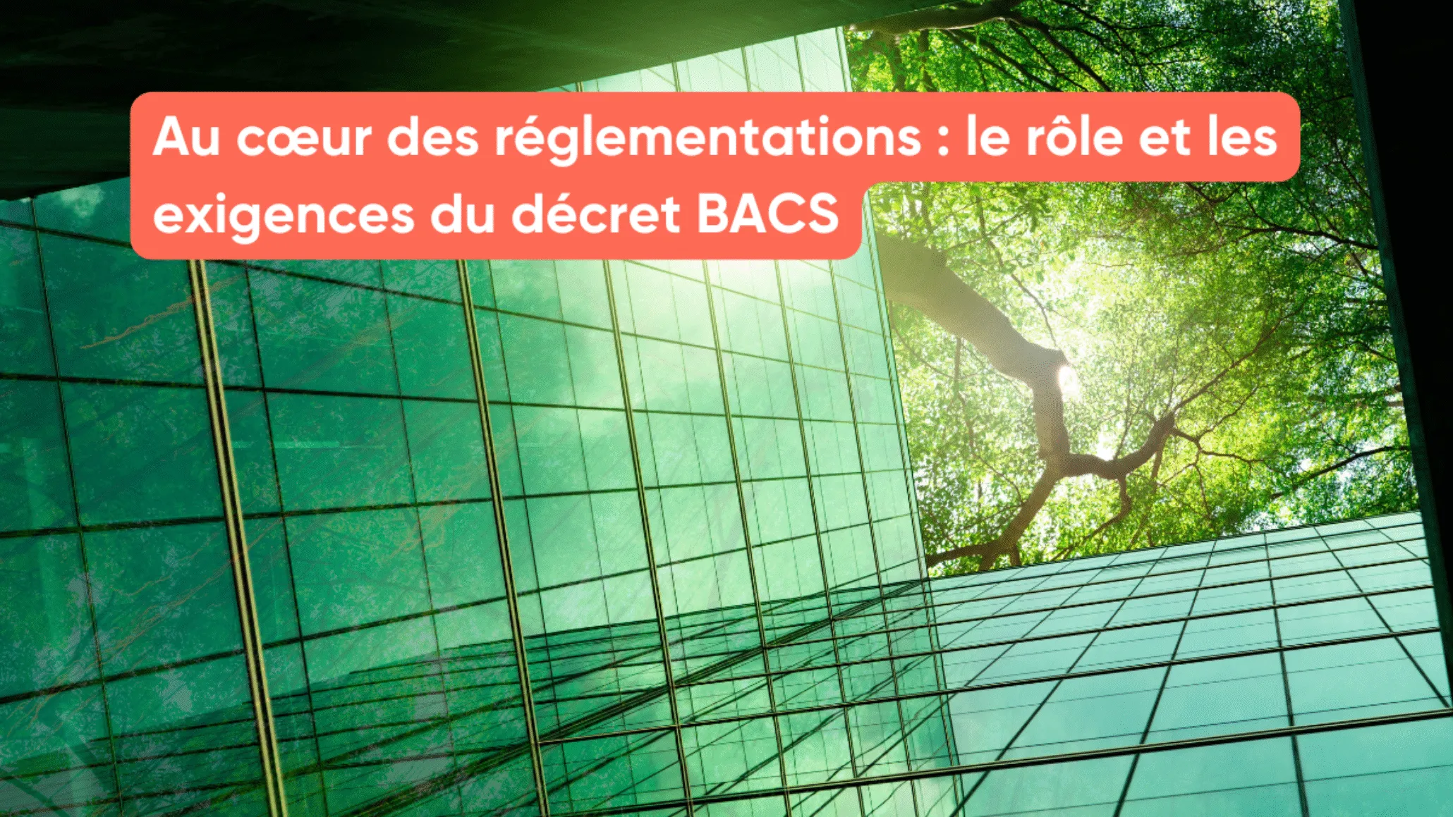 Au cœur des réglementations : le rôle et les exigences du décret BACS