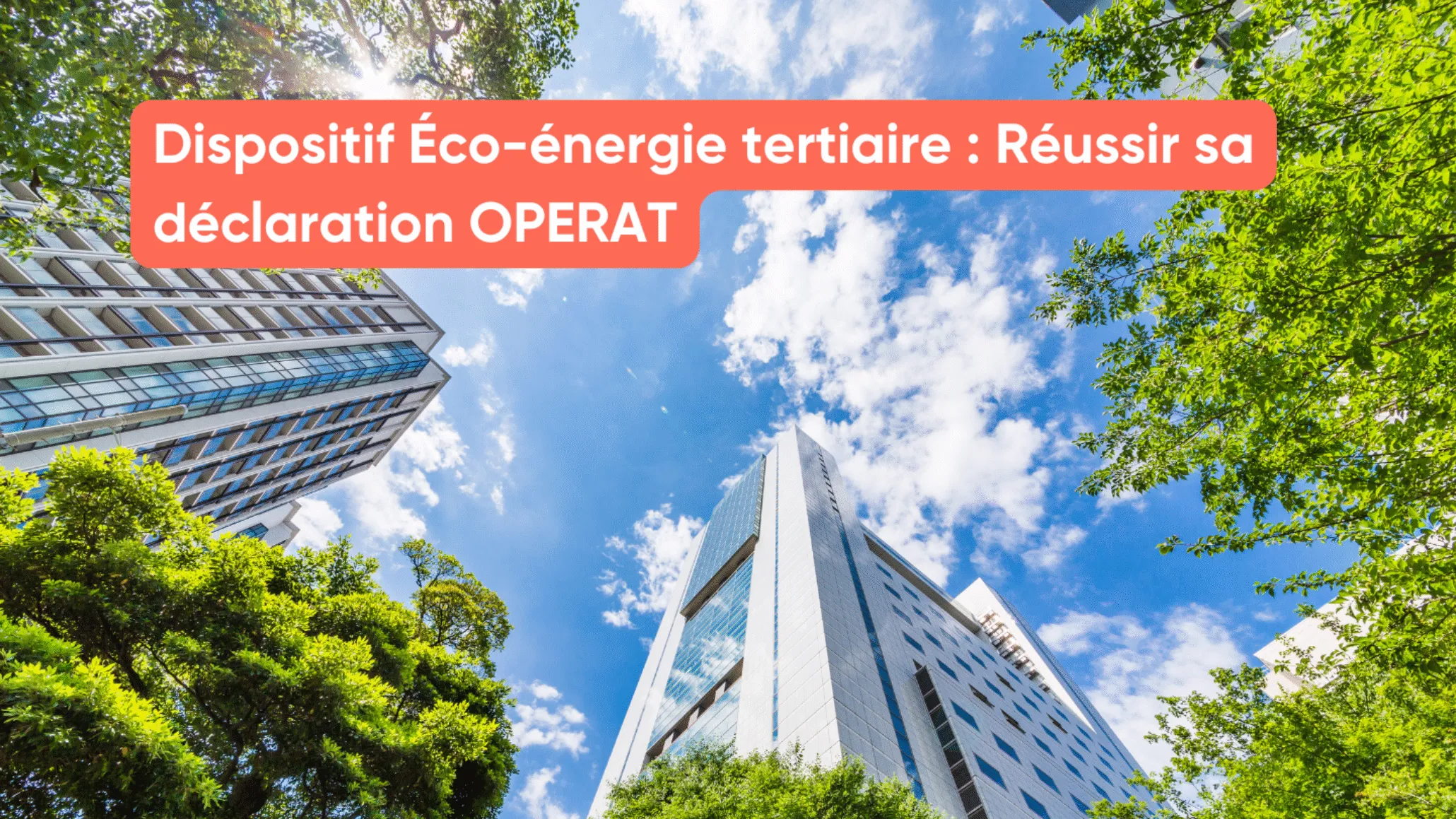 Dispositif Éco-énergie tertiaire : Réussir sa déclaration OPERAT