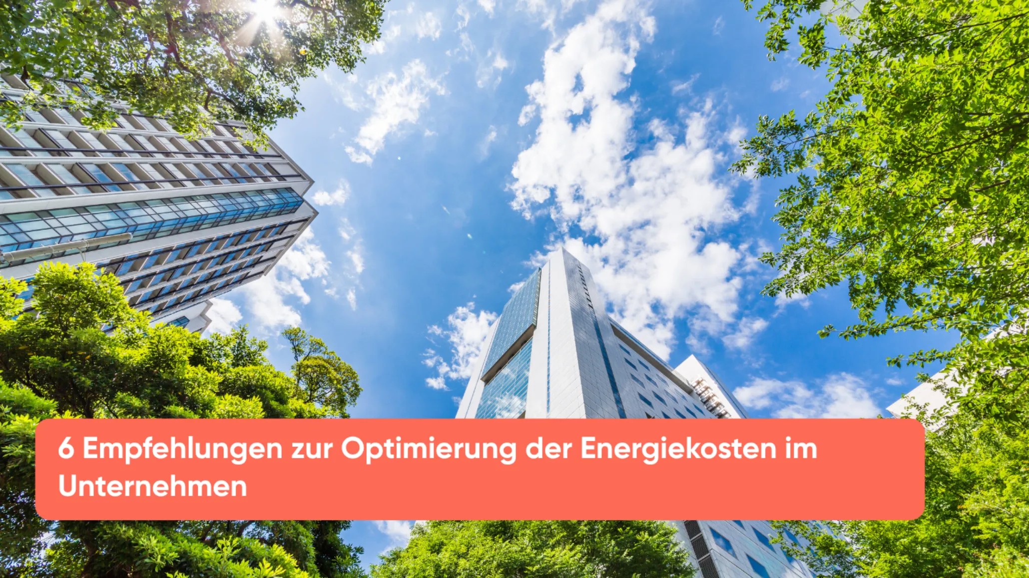 6 Empfehlungen zur Optimierung der Energiekosten im Unternehmen