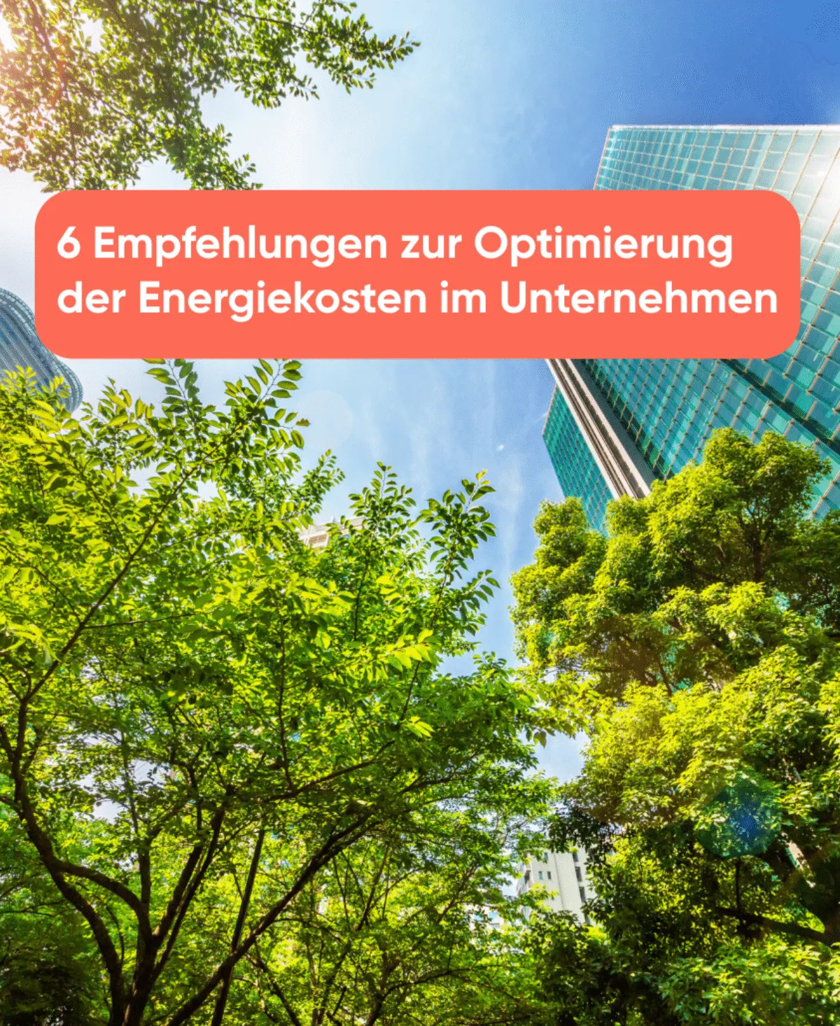 6 Empfehlungen zur Optimierung der Energiekosten im Unternehmen