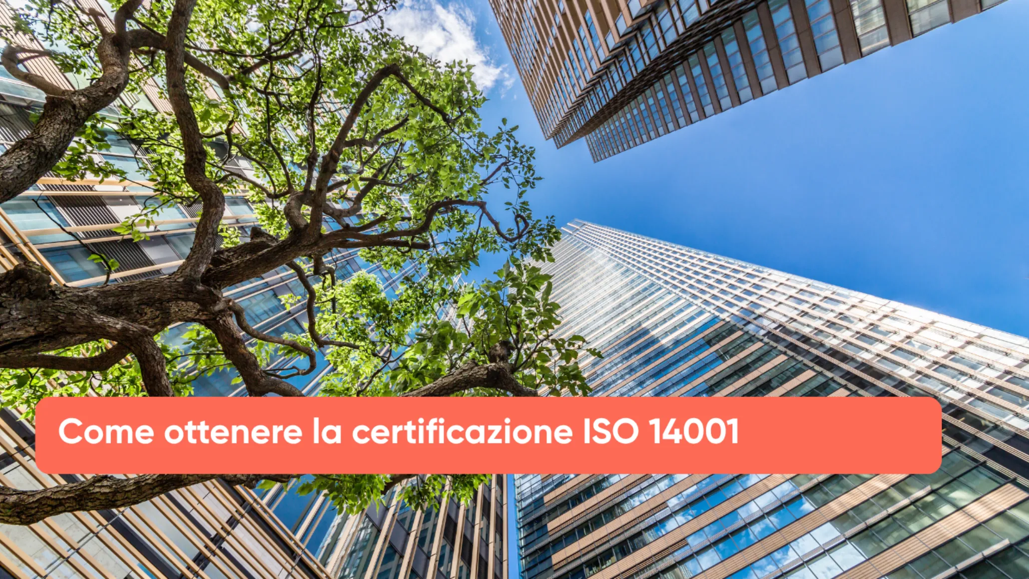 Come ottenere la certificazione ISO 14001