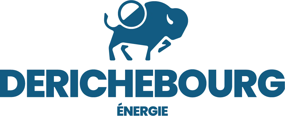 derichebourg-energie-logotype-bleu2