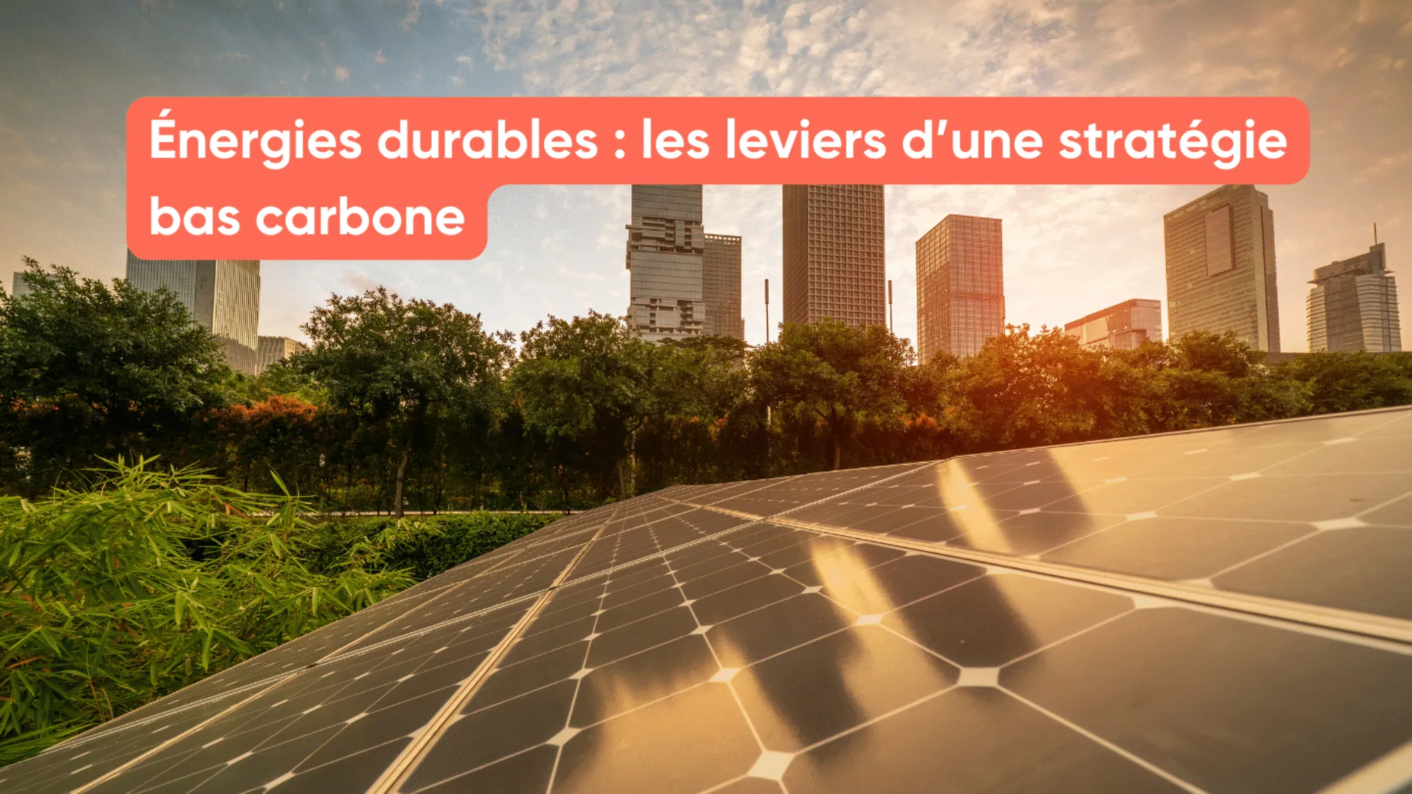Énergies durables : les leviers d’une stratégie bas carbone