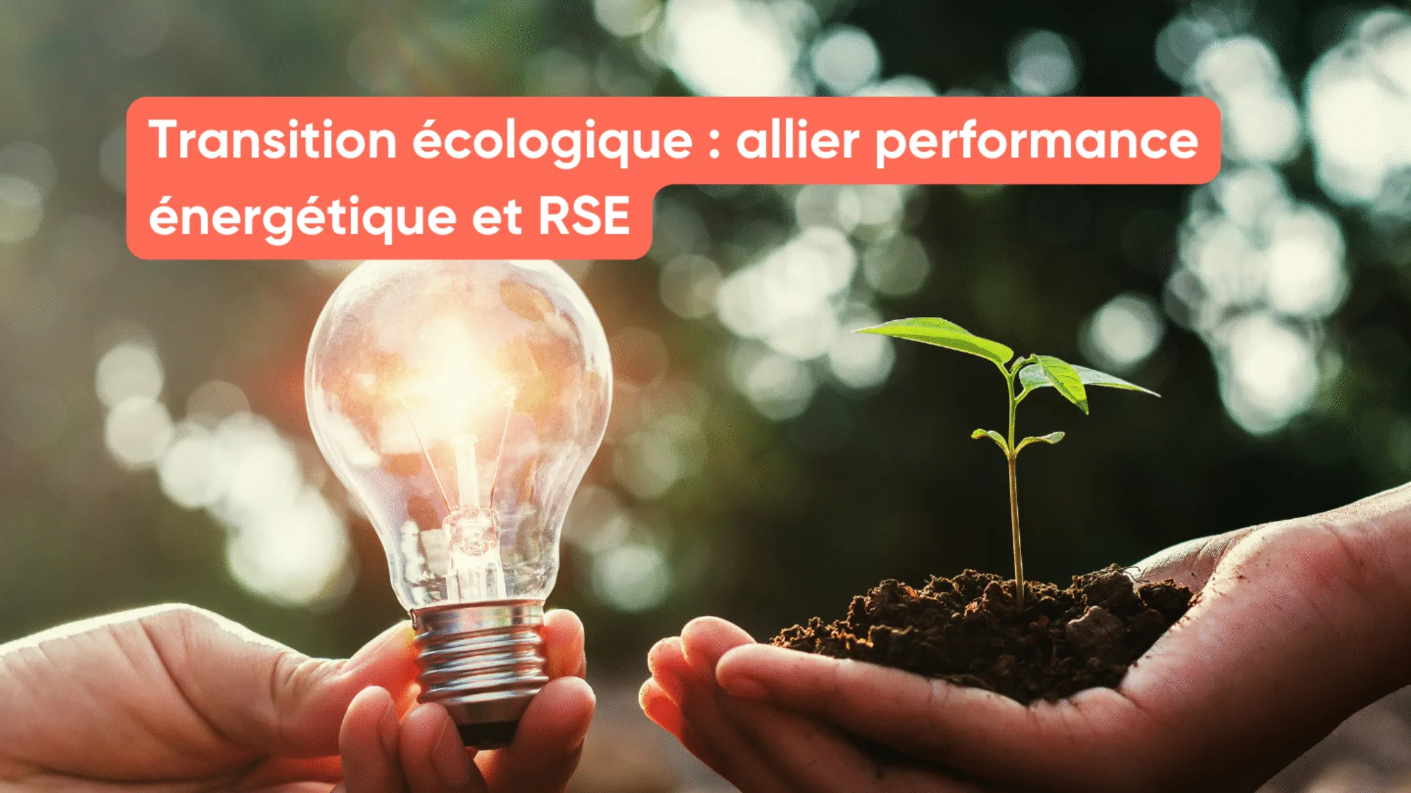 Transition écologique : allier performance énergétique et RSE