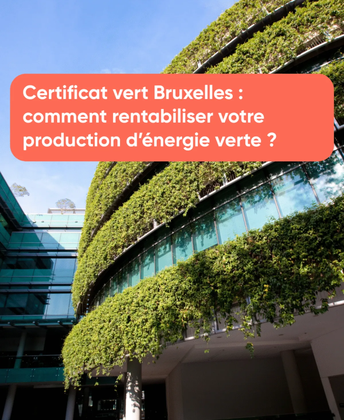 certificat-vert-bruxelles-comment-rentabiliser-votre-production-denergie-verte