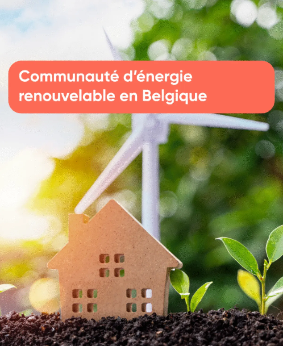 Communauté d’énergie renouvelable en Belgique