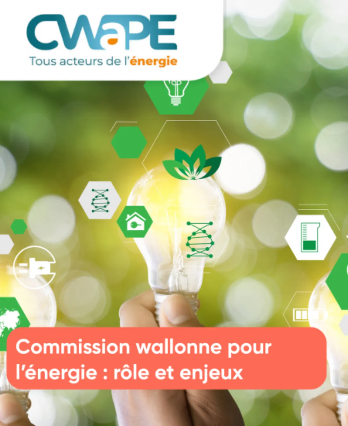 Commission wallonne pour l’énergie rôles clés
