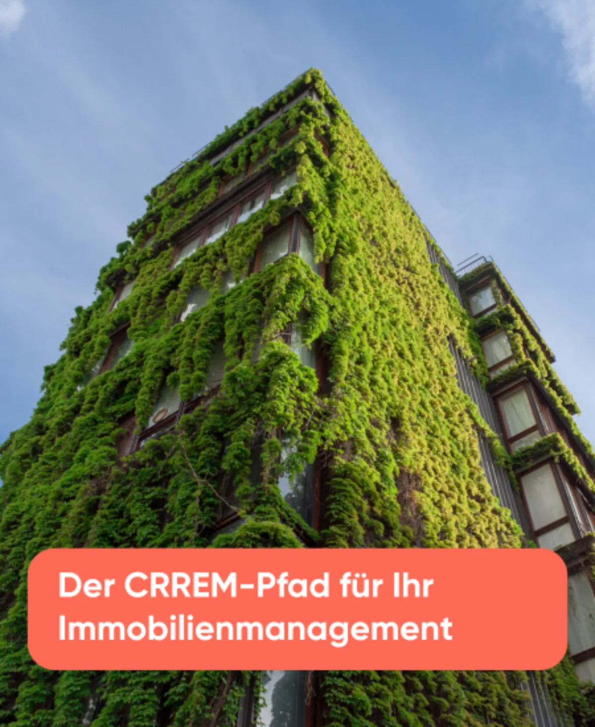 Der CRREM-Pfad für Ihr Immobilienmanagement