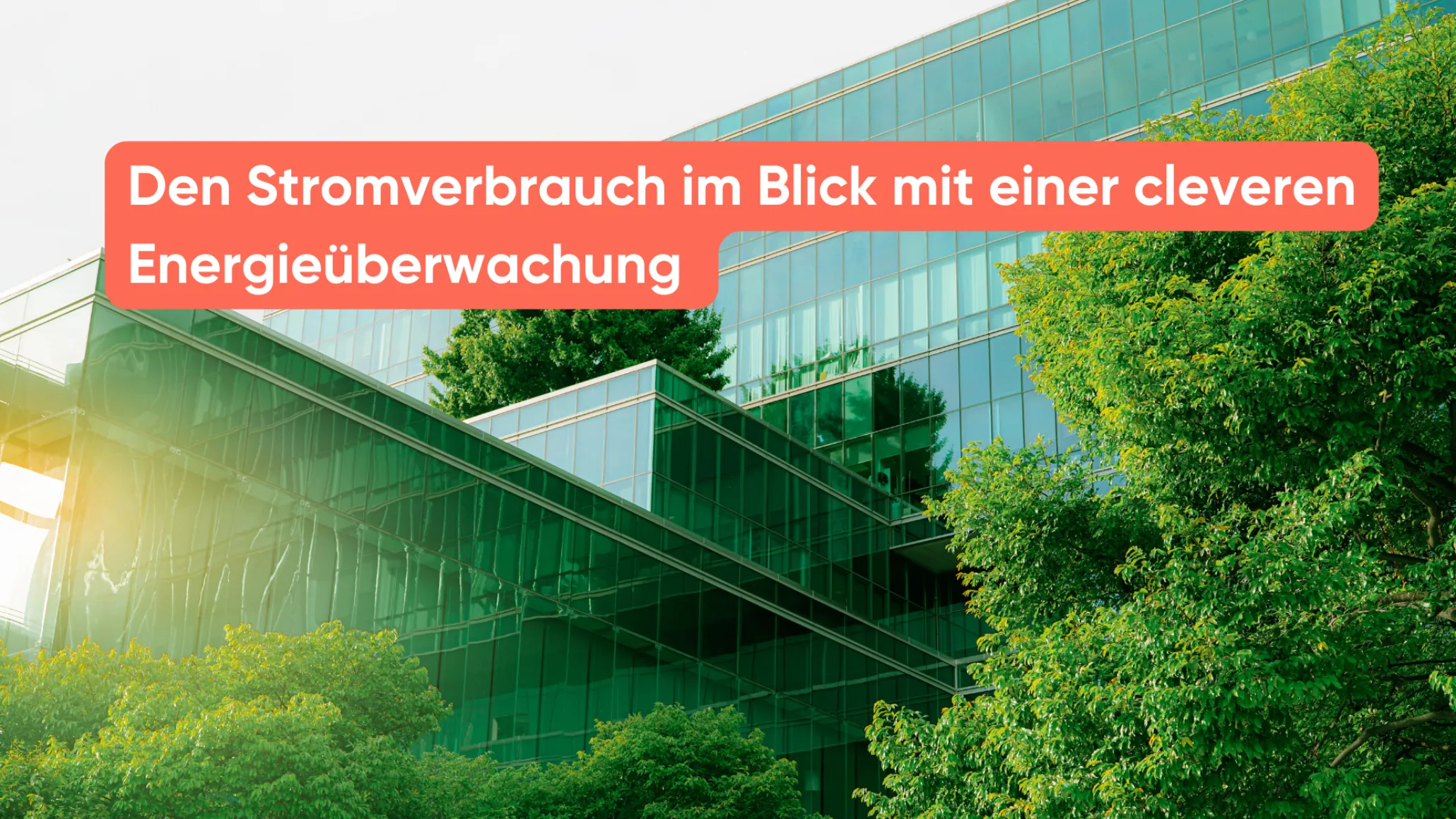 Den Stromverbrauch im Blick mit einer cleveren Energieüberwachung