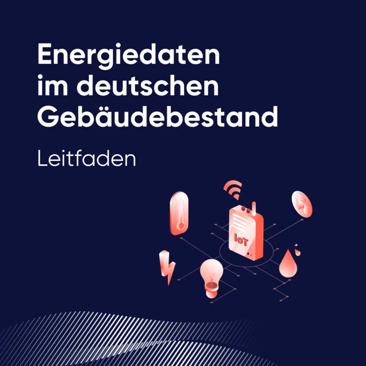Energiedaten im deutschen Gebäudebestand