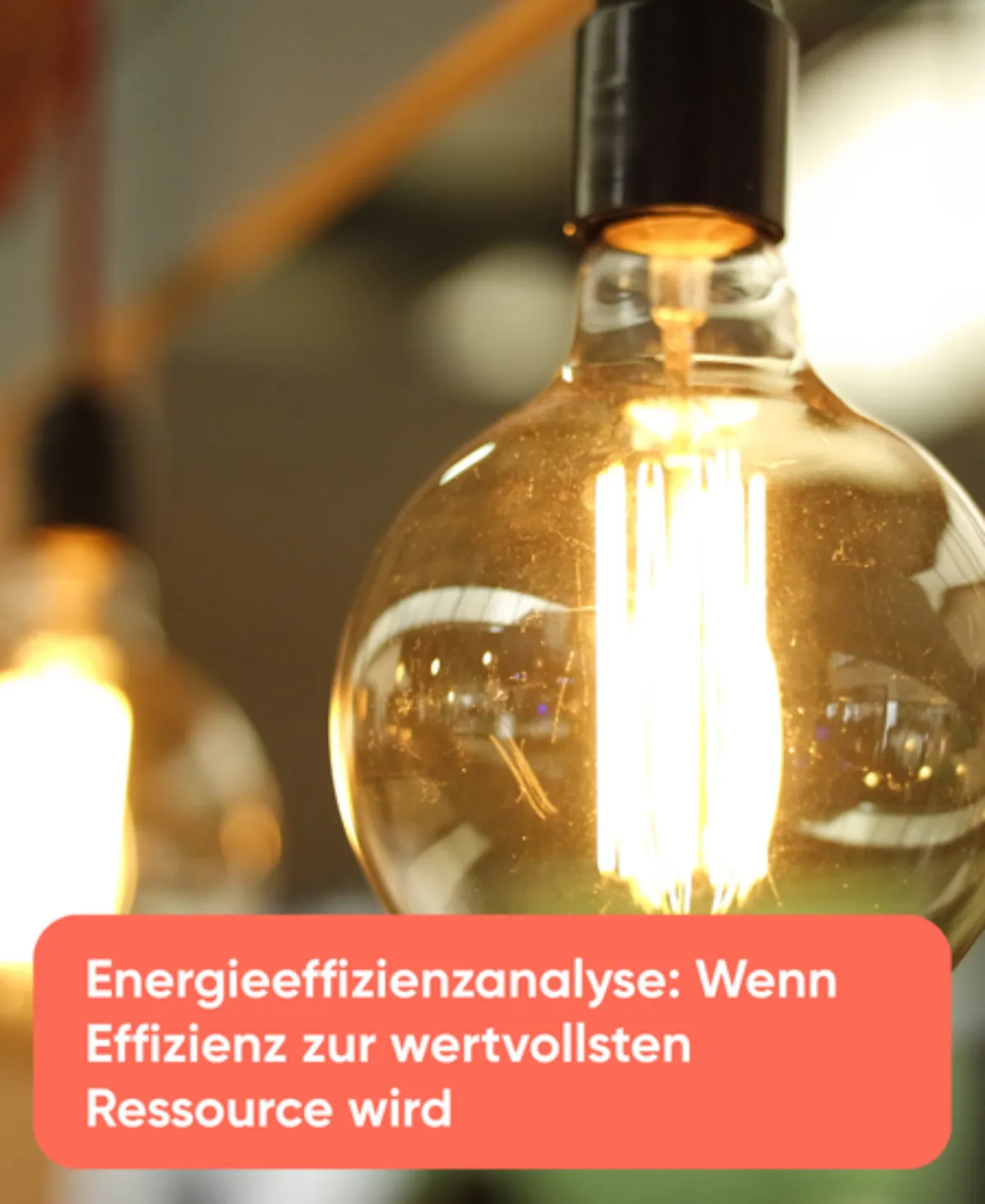 Energieeffizienzanalyse Wenn Effizienz zur wertvollsten Ressource wird