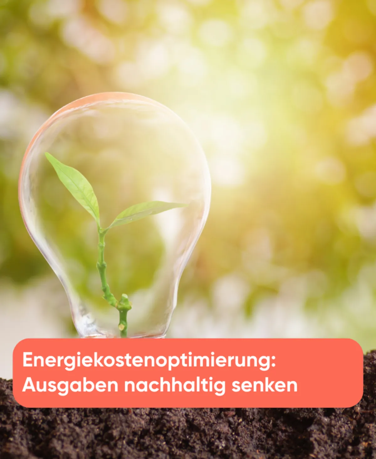 Energiekostenoptimierung Ausgaben nachhaltig senken