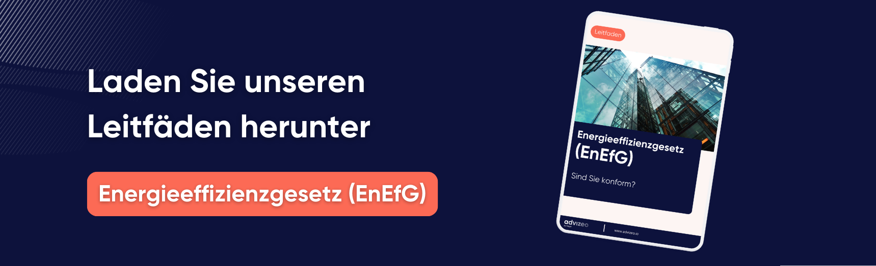 Leitfäden Energieeffizienzgesetz (EnEfG)