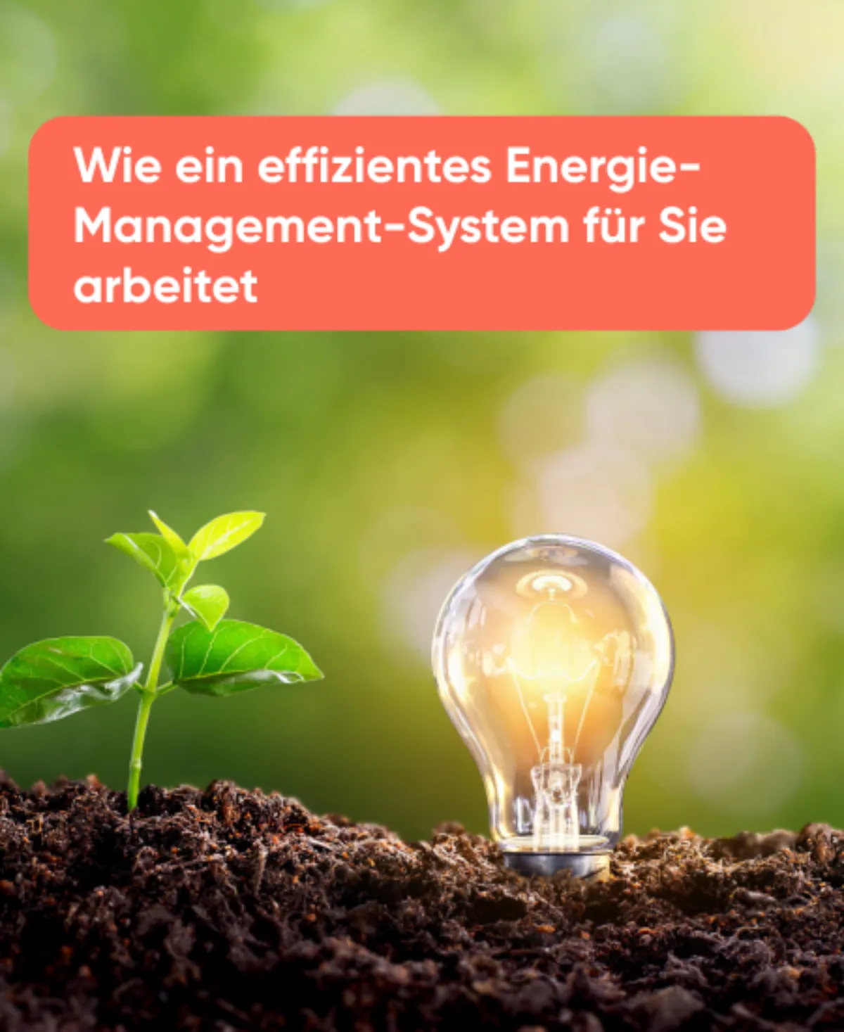 Wie ein effizientes Energie-Management-System für Sie arbeitet