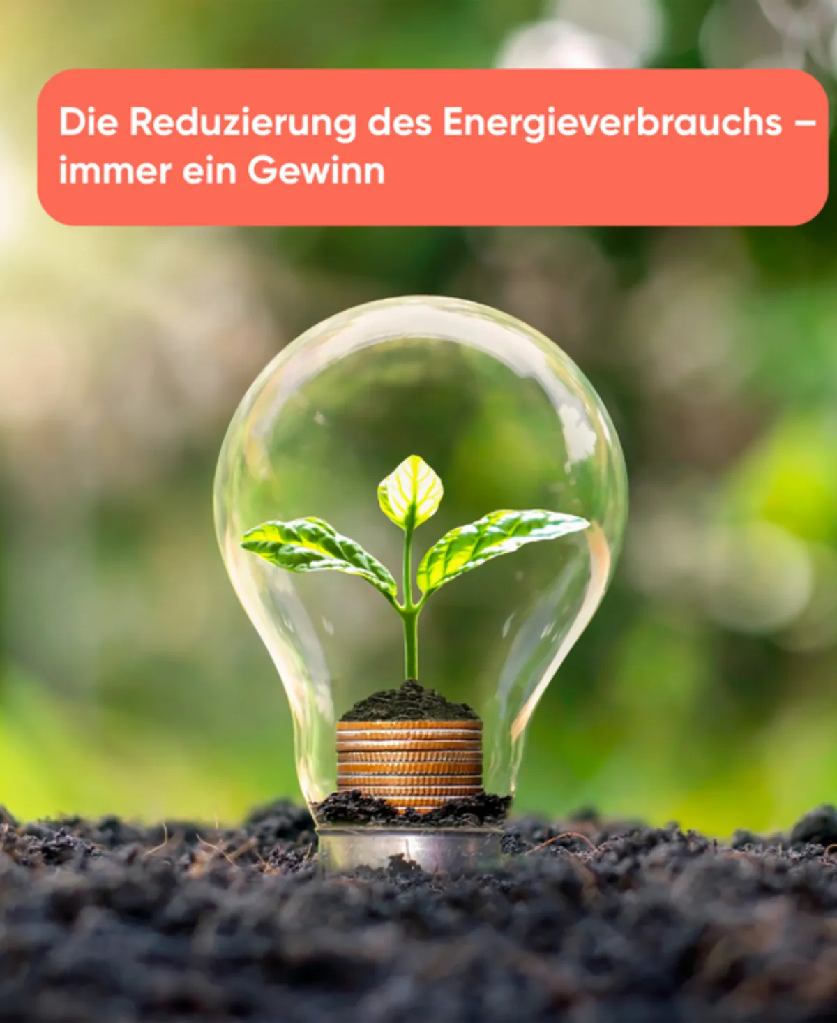Die Reduzierung des Energieverbrauchs – immer ein Gewinn