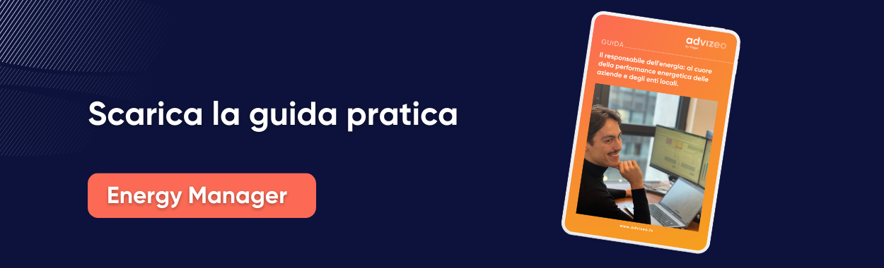 Guida pratica Energy Manager