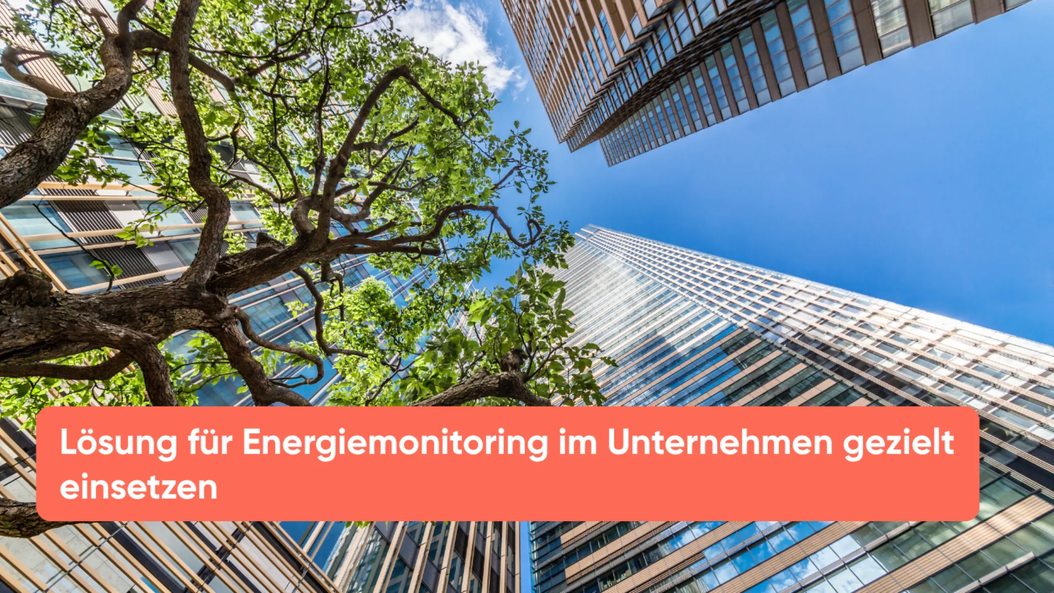 Lösung für Energiemonitoring im Unternehmen gezielt einsetzen