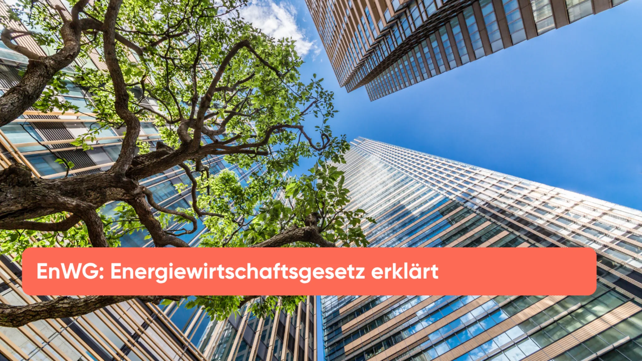 EnWG Energiewirtschaftsgesetz erklärt