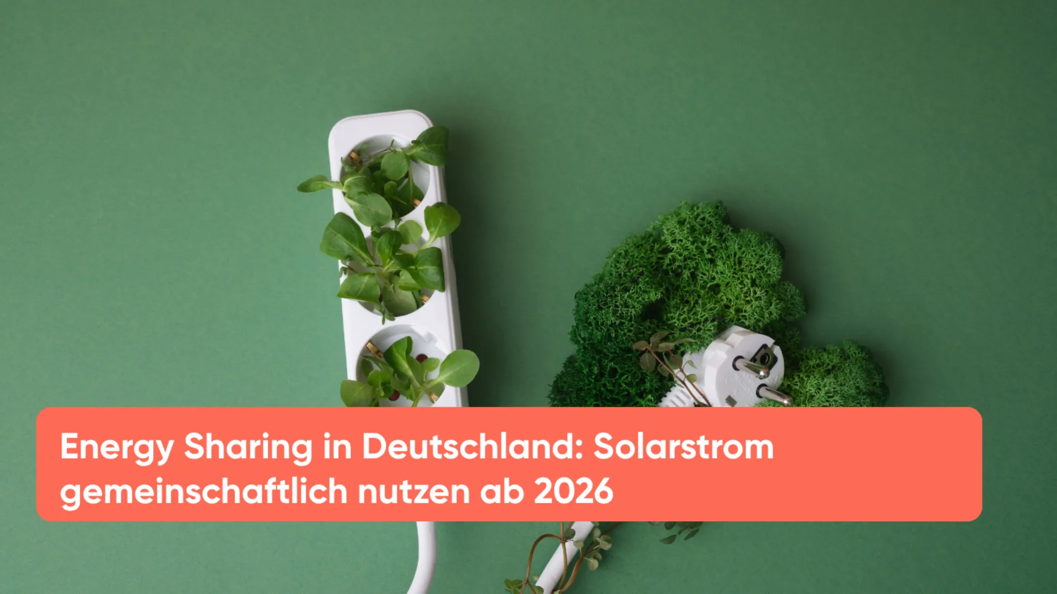 Energy Sharing in Deutschland Solarstrom gemeinschaftlich nutzen ab 2026