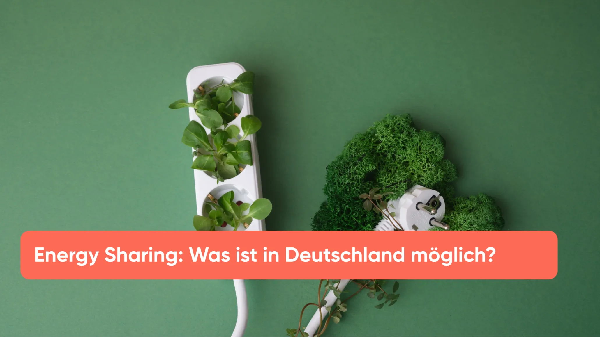 Energy Sharing_ Was ist in Deutschland möglich_