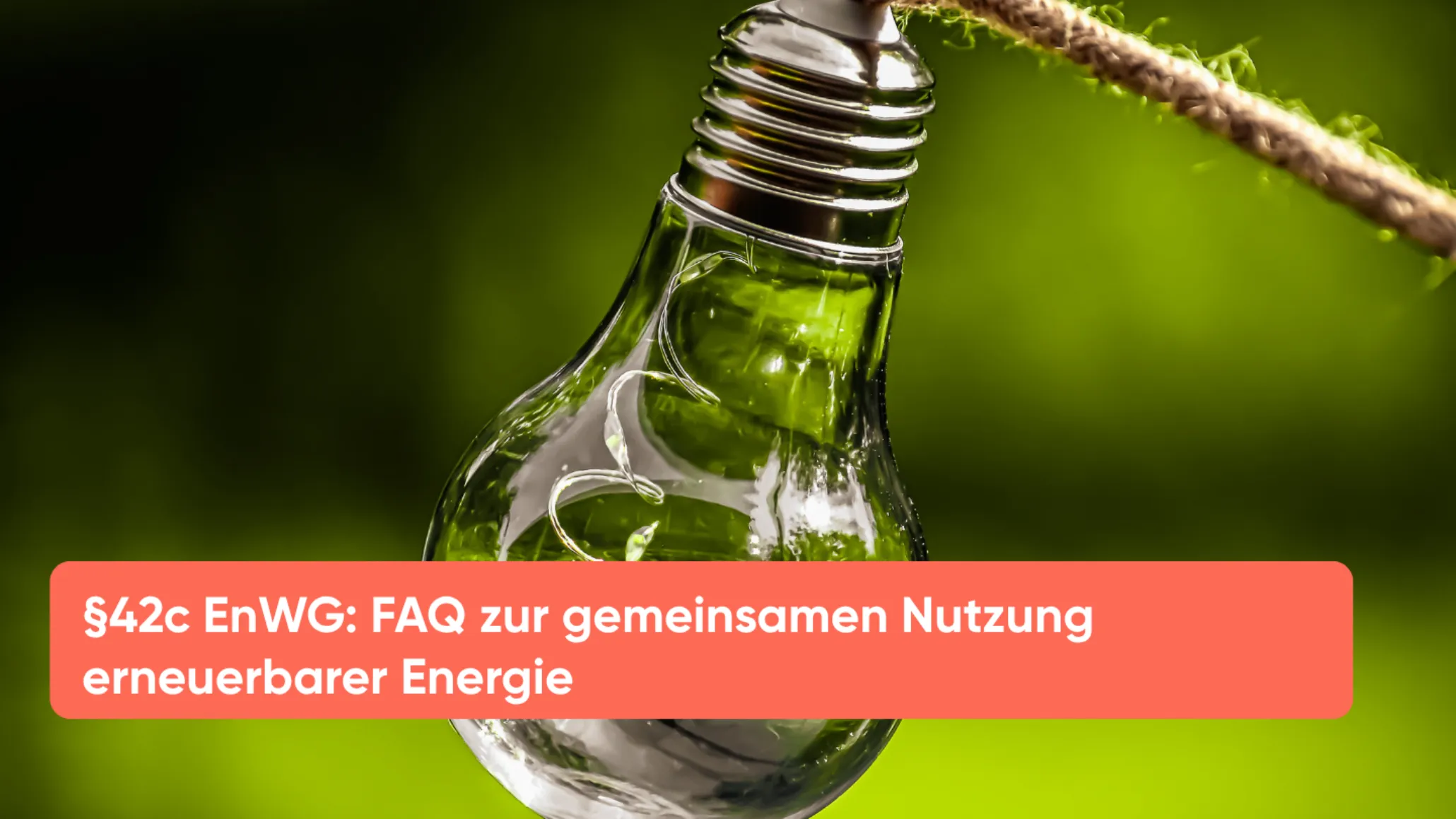 §42c EnWG FAQ zur gemeinsamen Nutzung erneuerbarer Energie