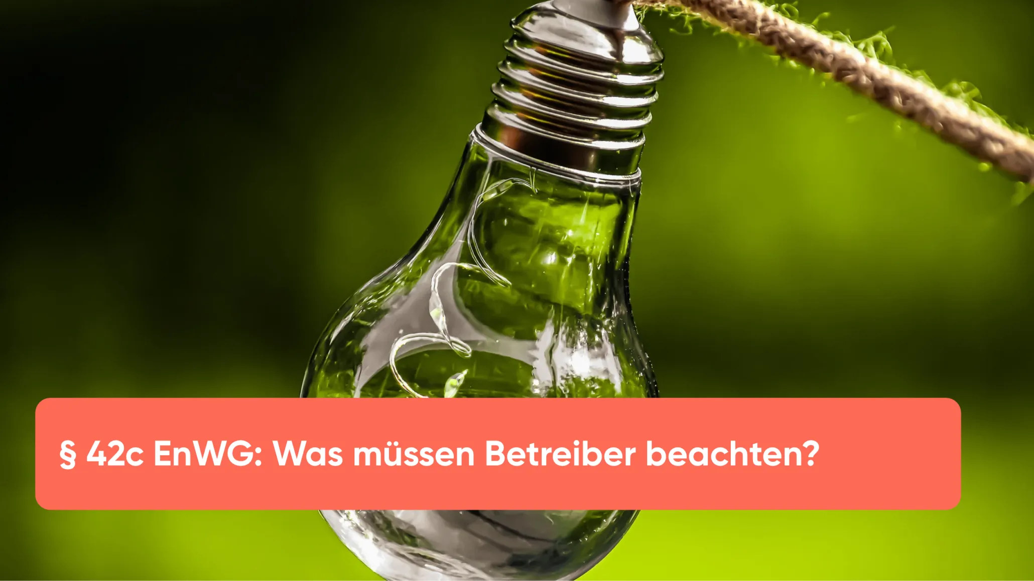 §42c EnWG_ FAQ zur gemeinsamen Nutzung erneuerbarer Energie