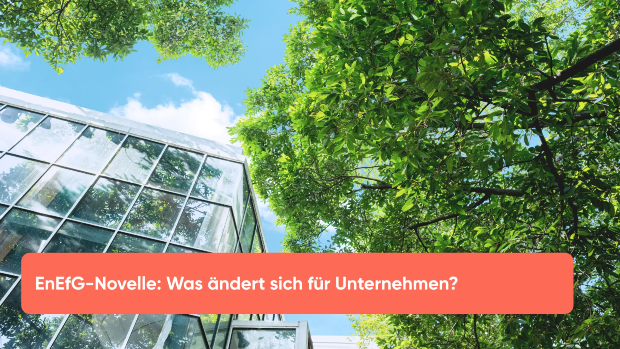 EnEfG-Novelle Was ändert sich für Unternehmen