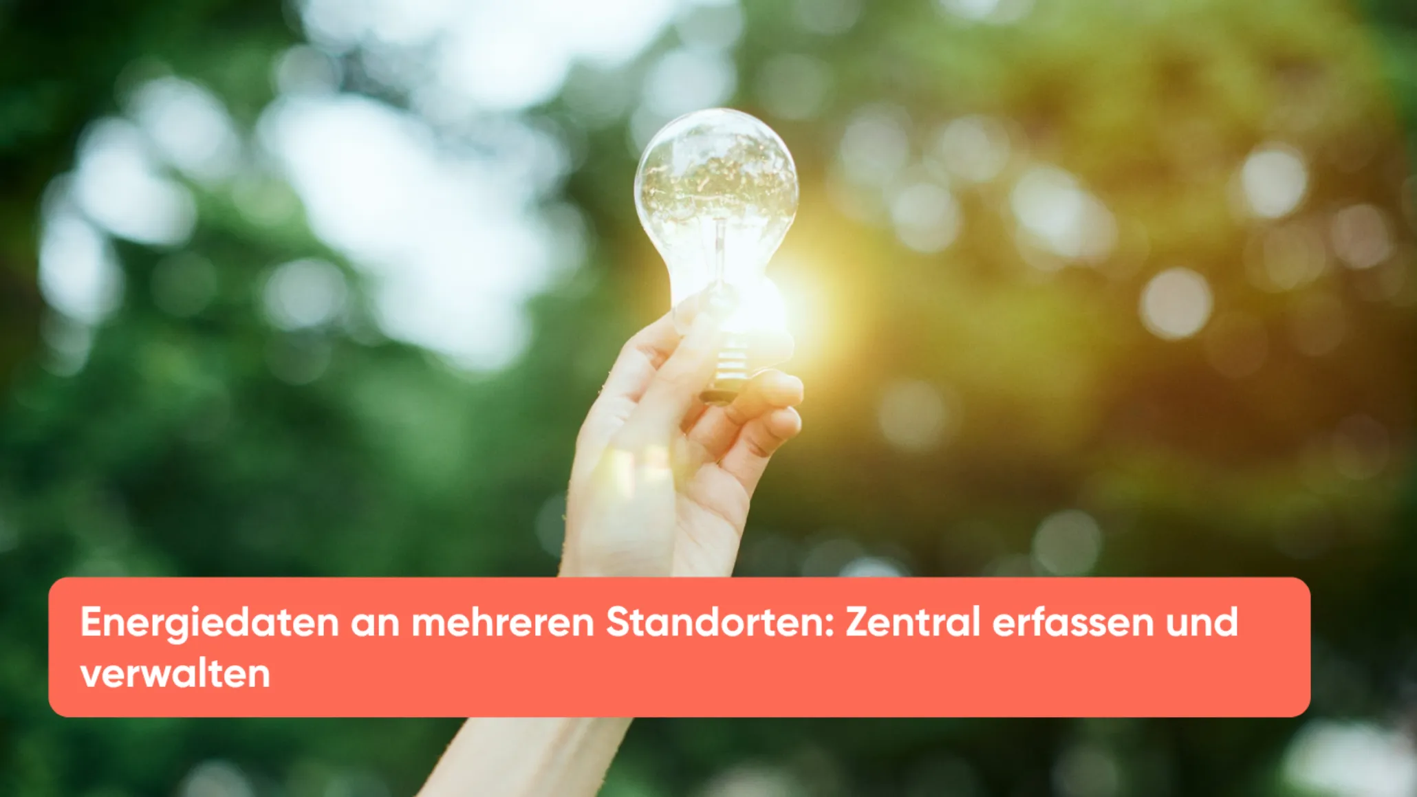 Energiedaten an mehreren Standorten Zentral erfassen und verwalten